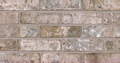 Glen-Gery Nob Hill Thin Brick