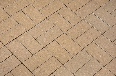 Belden Nutmeg Clear Chamfered & Lugged Paver