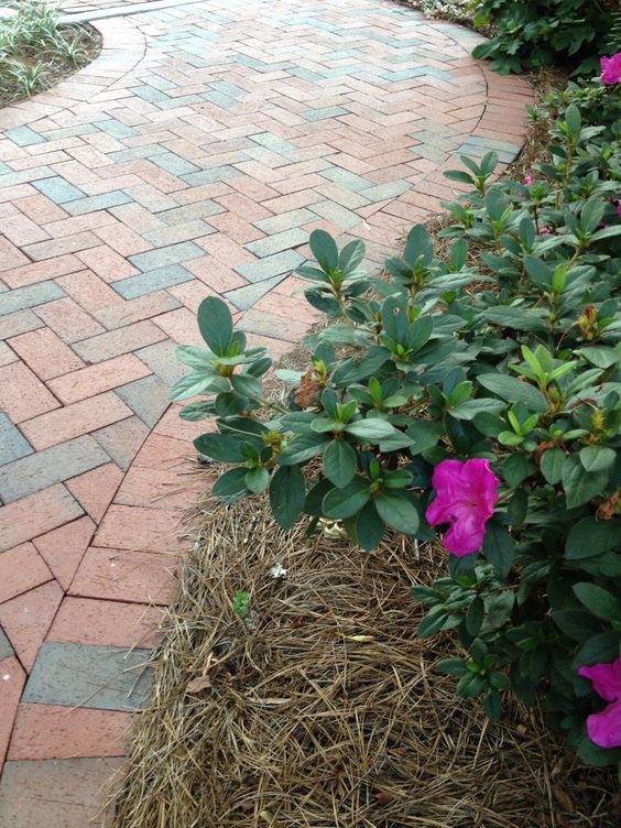 Pine H Pathway F/R Modular Paver